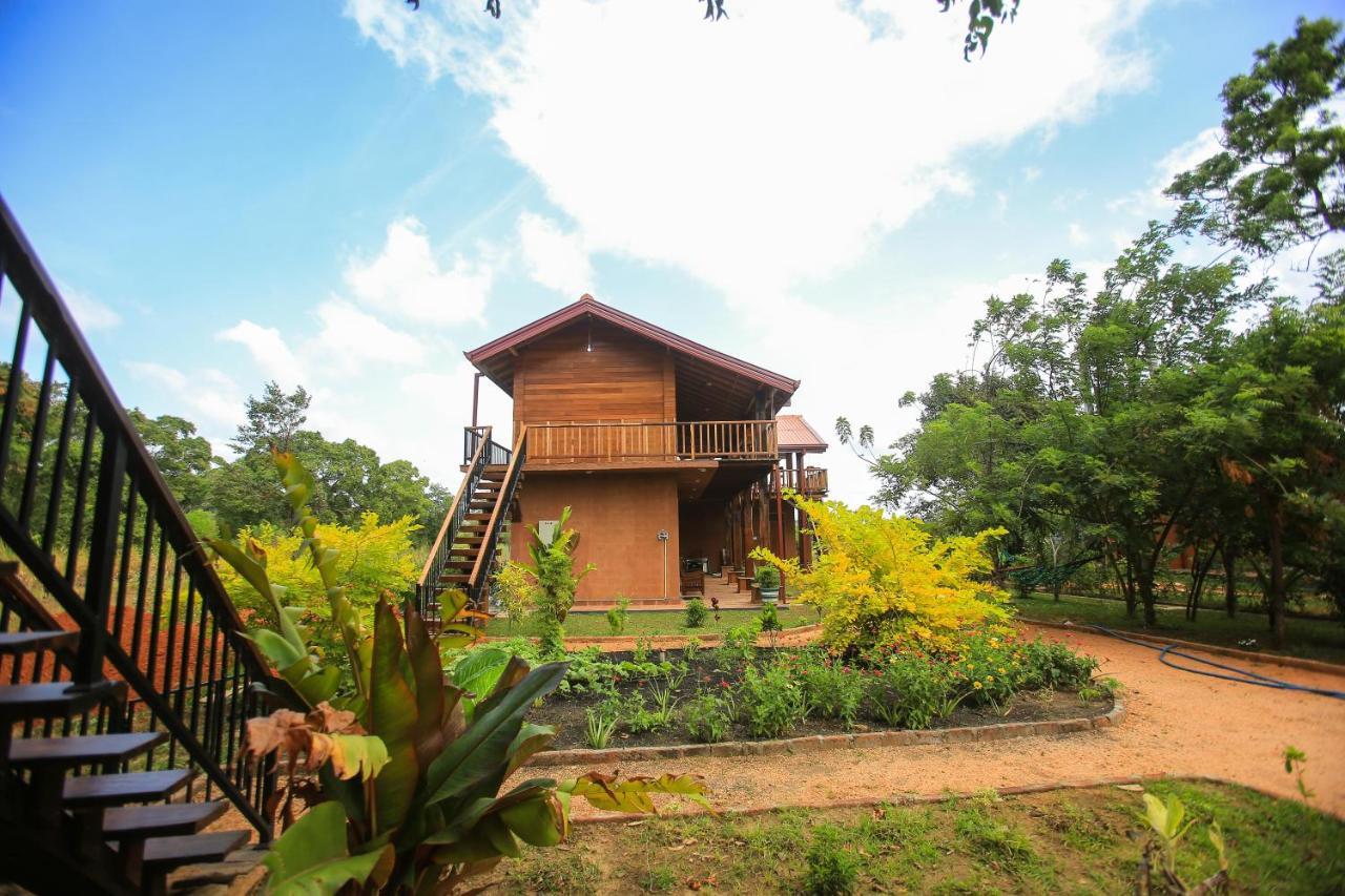 Jungle Hut Resort 锡吉里亚 外观 照片