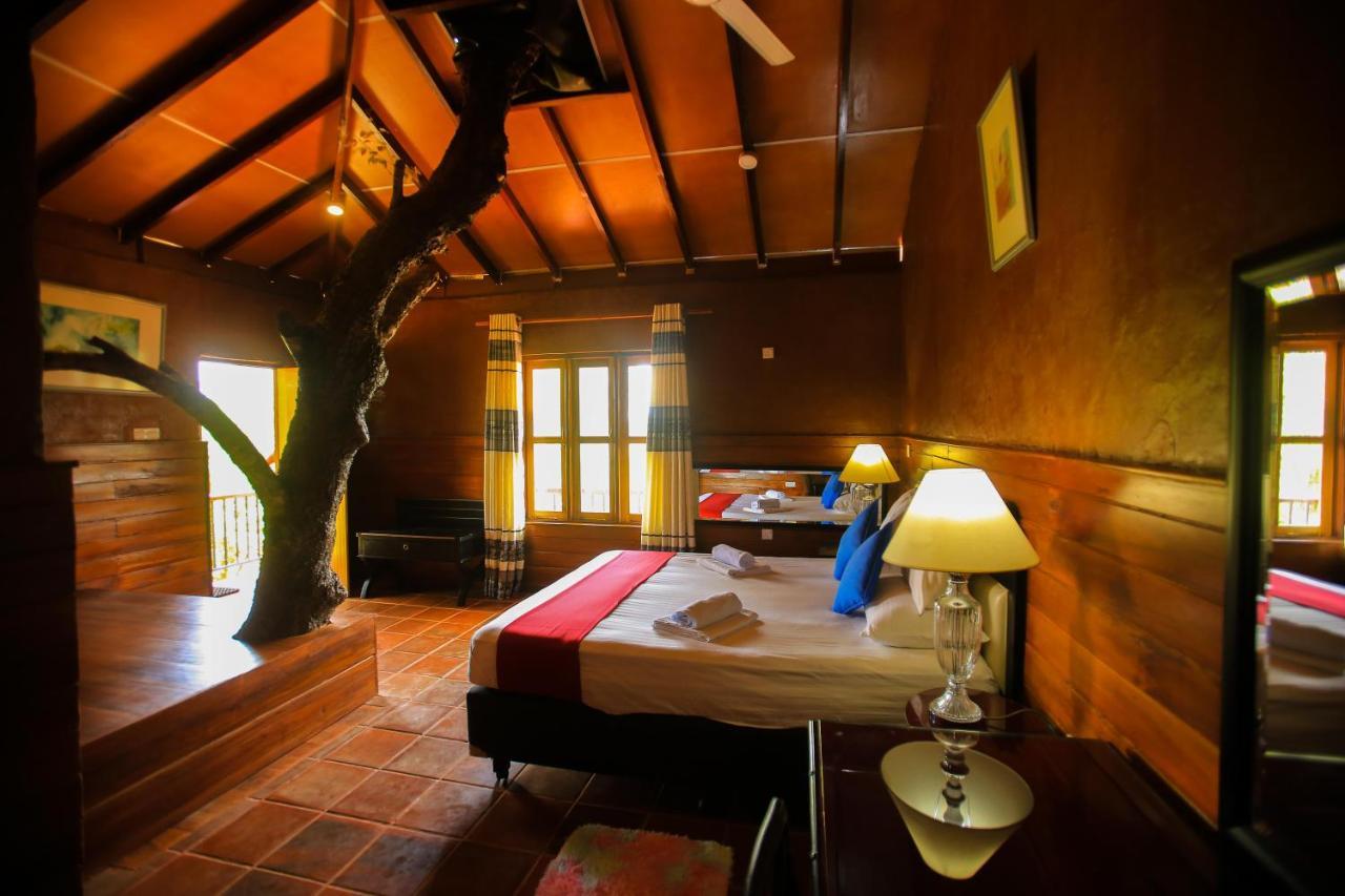 Jungle Hut Resort 锡吉里亚 外观 照片