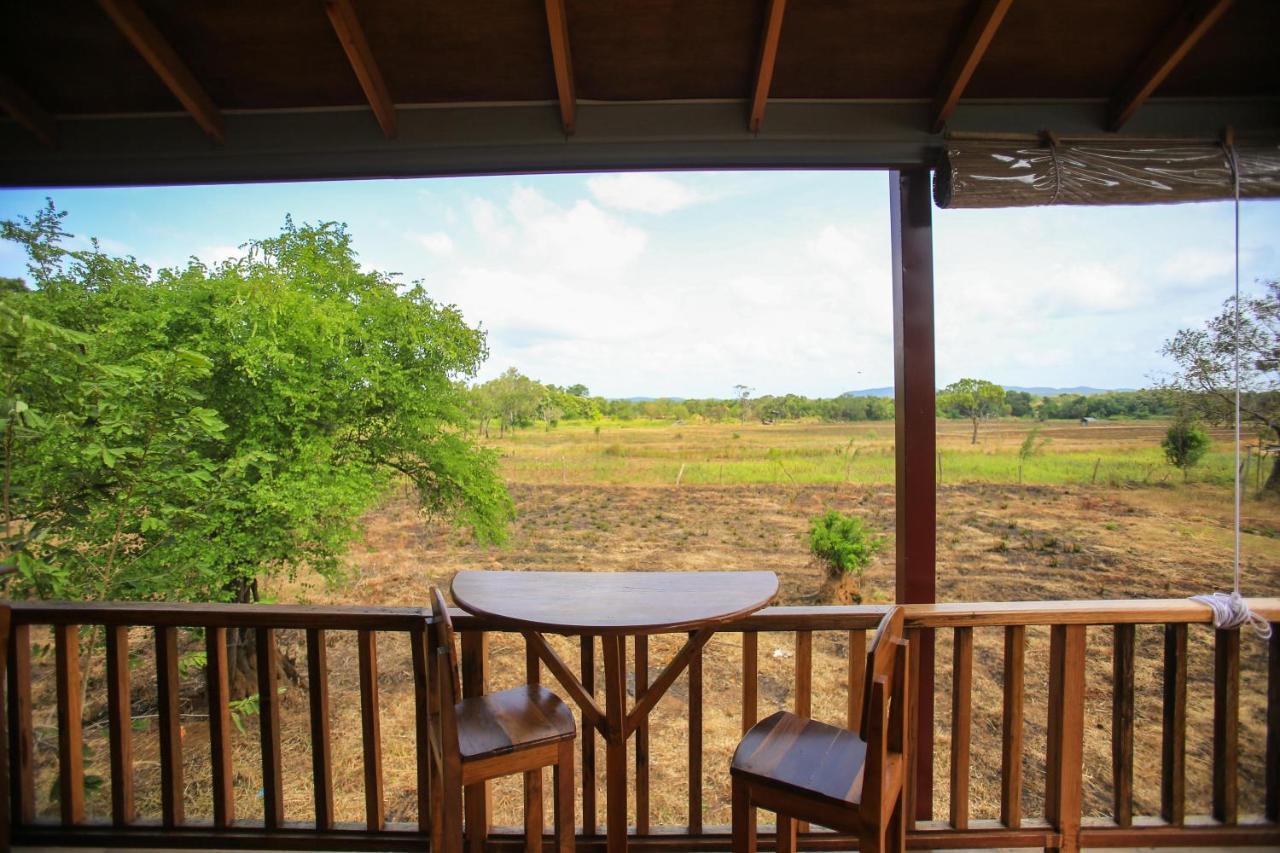 Jungle Hut Resort 锡吉里亚 外观 照片