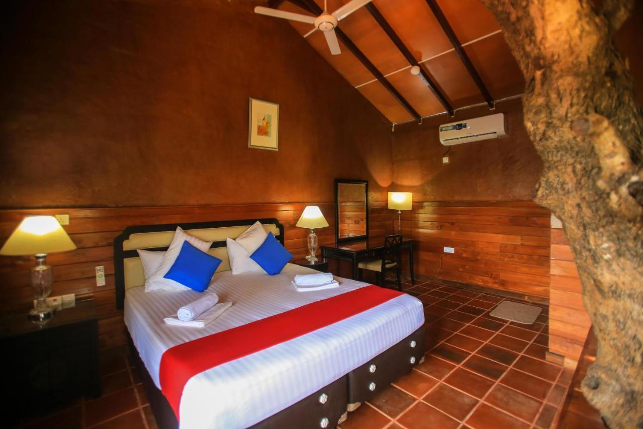 Jungle Hut Resort 锡吉里亚 外观 照片