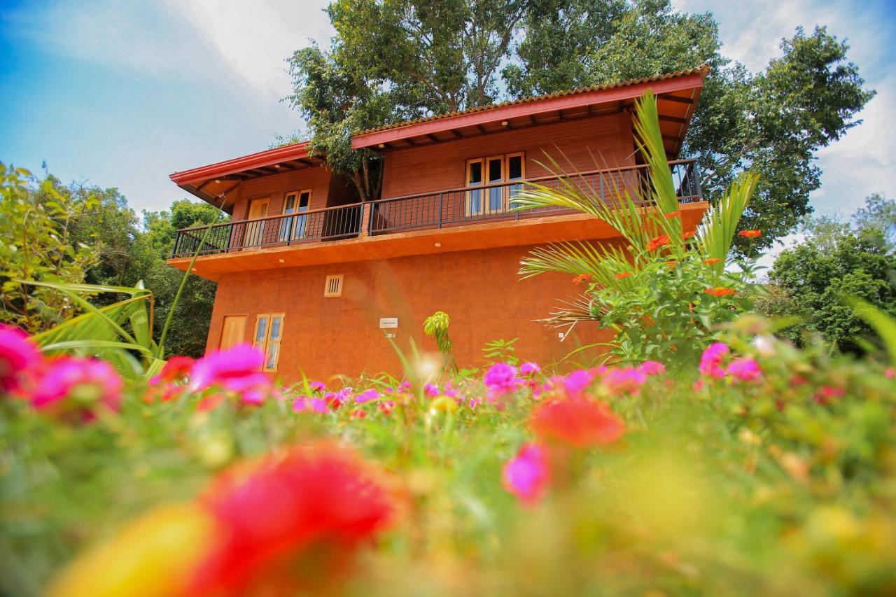 Jungle Hut Resort 锡吉里亚 外观 照片
