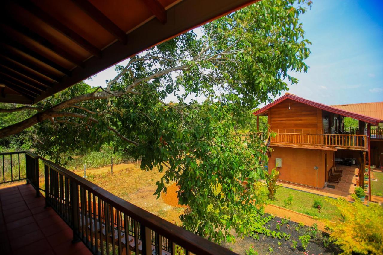 Jungle Hut Resort 锡吉里亚 外观 照片